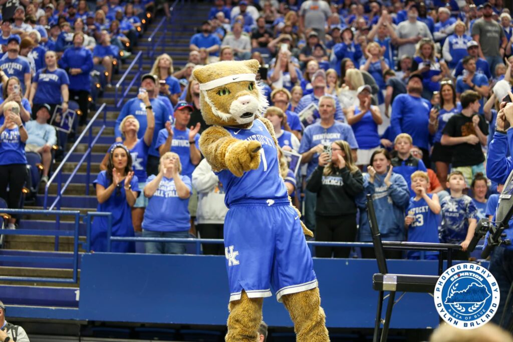 wildcat_mascot_db.0